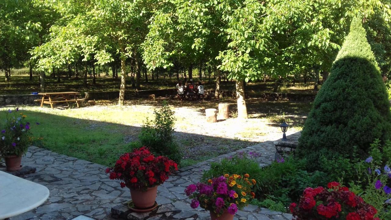 Andrea Sofi Guesthouse Dimitsana Dış mekan fotoğraf