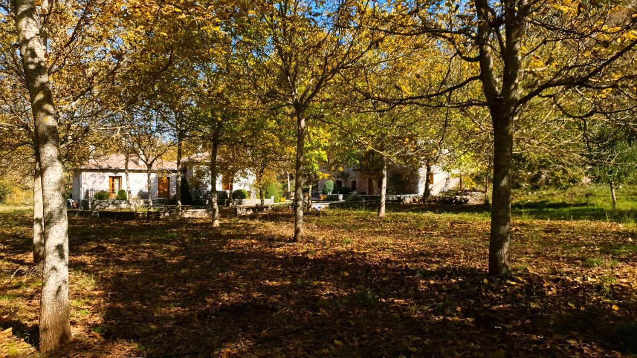 Andrea Sofi Guesthouse Dimitsana Dış mekan fotoğraf