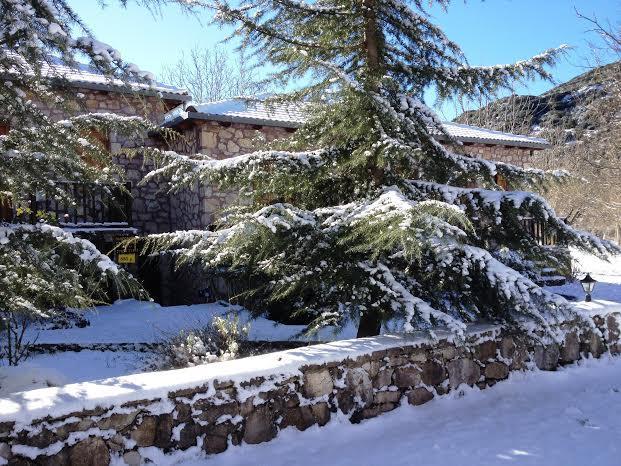 Andrea Sofi Guesthouse Dimitsana Dış mekan fotoğraf
