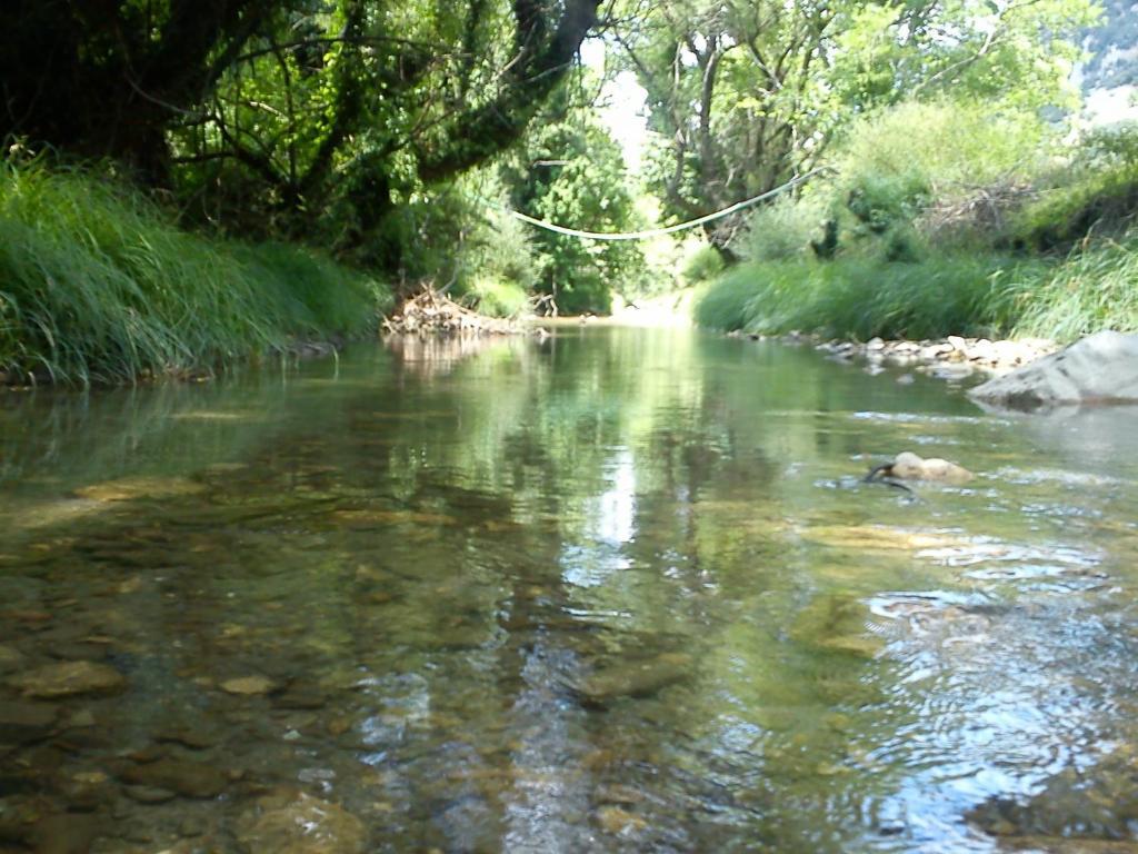 Andrea Sofi Guesthouse Dimitsana Dış mekan fotoğraf