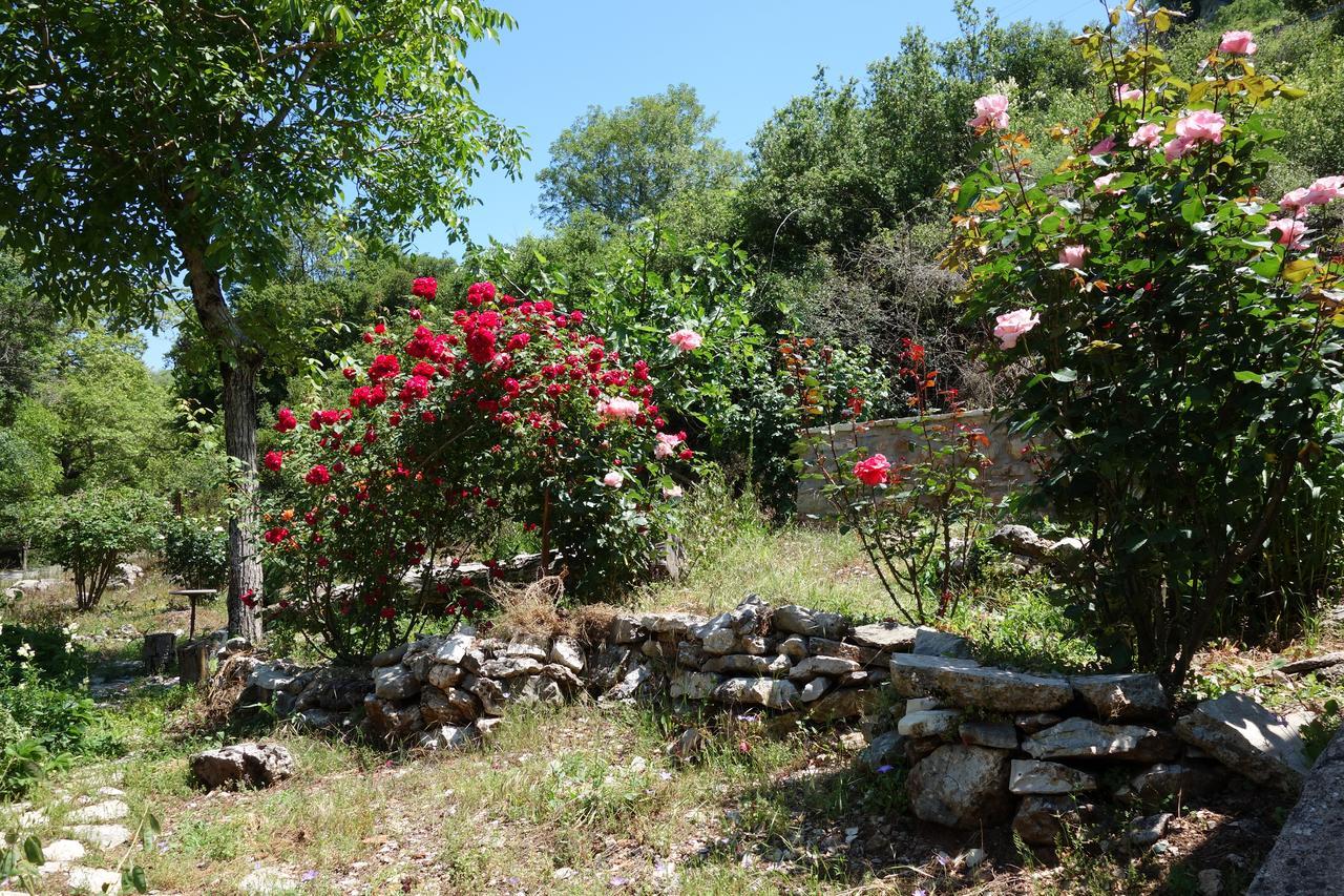 Andrea Sofi Guesthouse Dimitsana Dış mekan fotoğraf