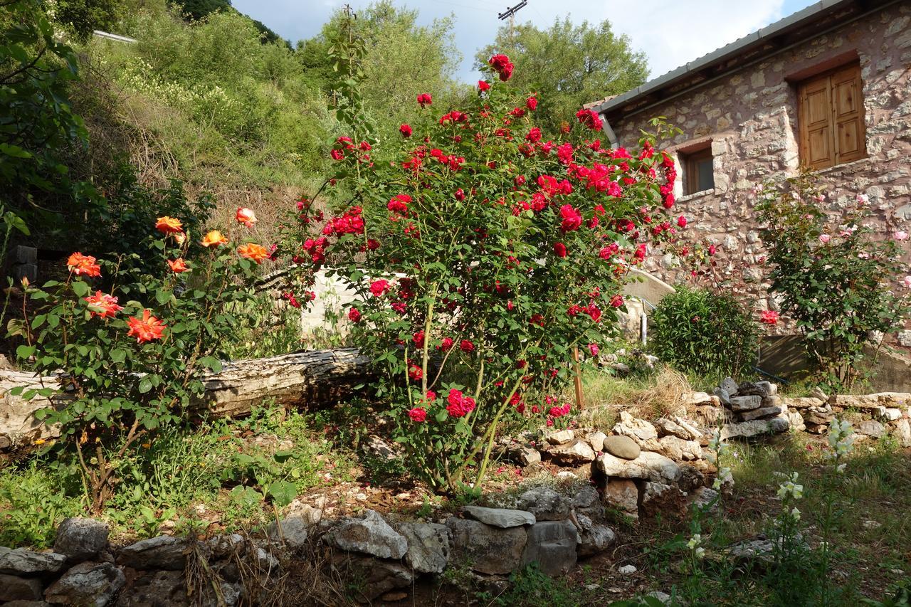 Andrea Sofi Guesthouse Dimitsana Dış mekan fotoğraf