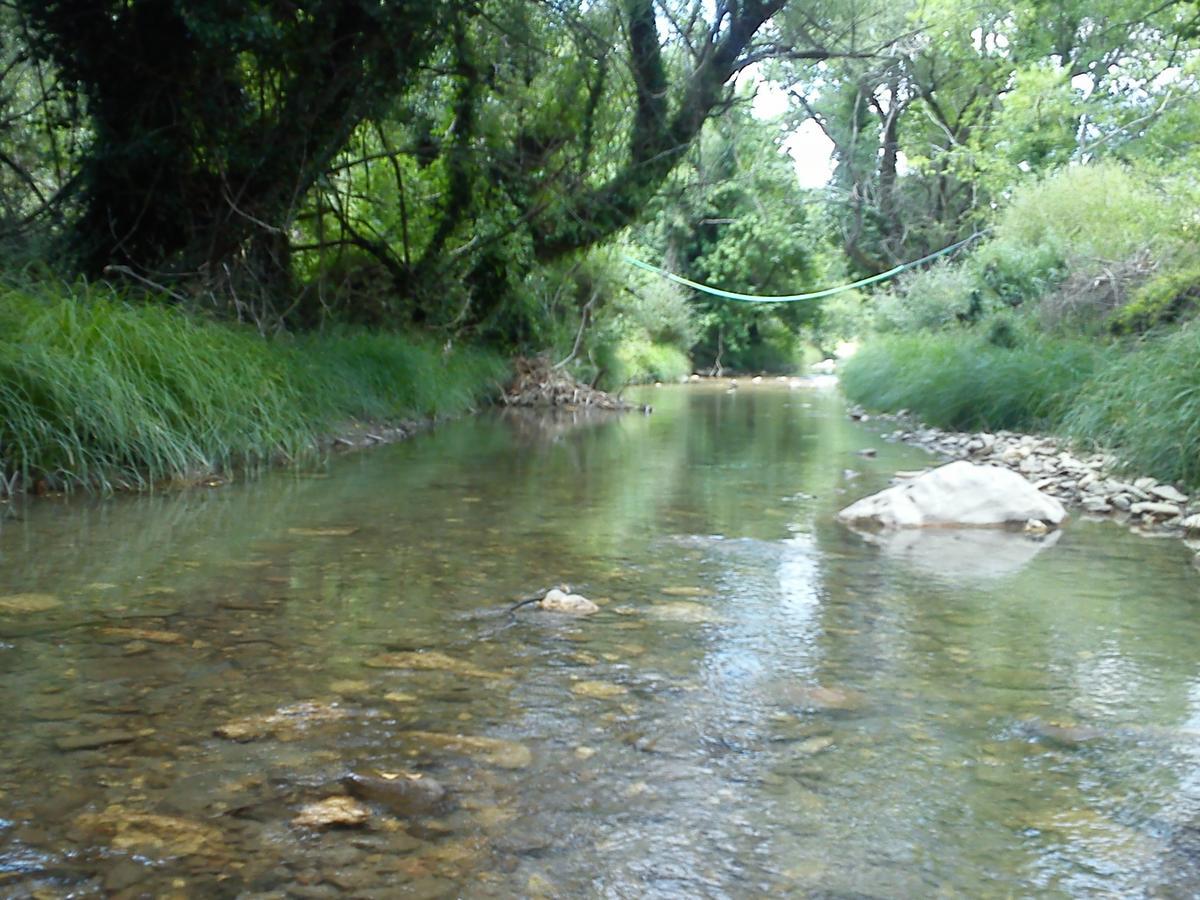 Andrea Sofi Guesthouse Dimitsana Dış mekan fotoğraf